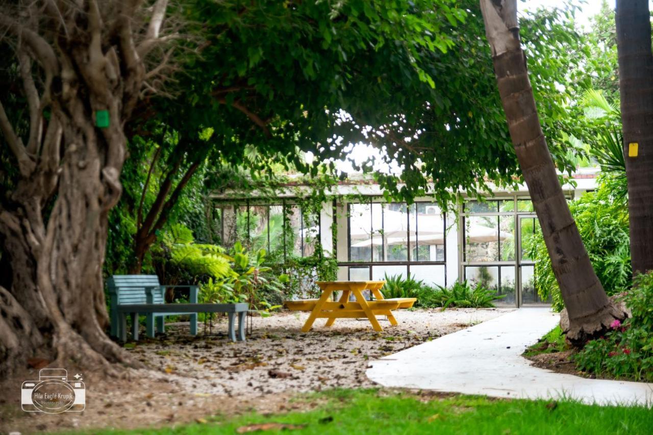 Eden Inn Zikhron Ya'akov Exterior foto